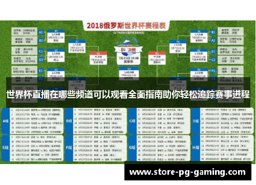 世界杯直播在哪些频道可以观看全面指南助你轻松追踪赛事进程