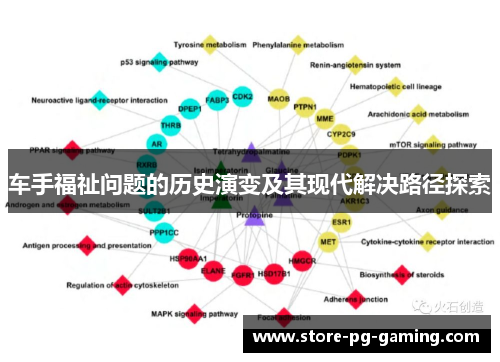 车手福祉问题的历史演变及其现代解决路径探索