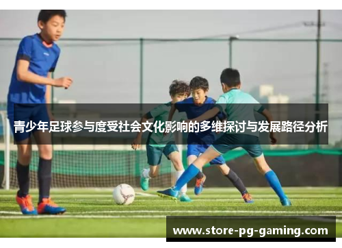青少年足球参与度受社会文化影响的多维探讨与发展路径分析