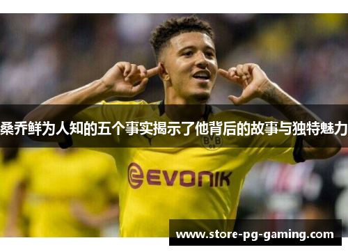 桑乔鲜为人知的五个事实揭示了他背后的故事与独特魅力