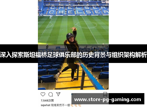 深入探索斯坦福桥足球俱乐部的历史背景与组织架构解析